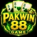 PAKWIN Game